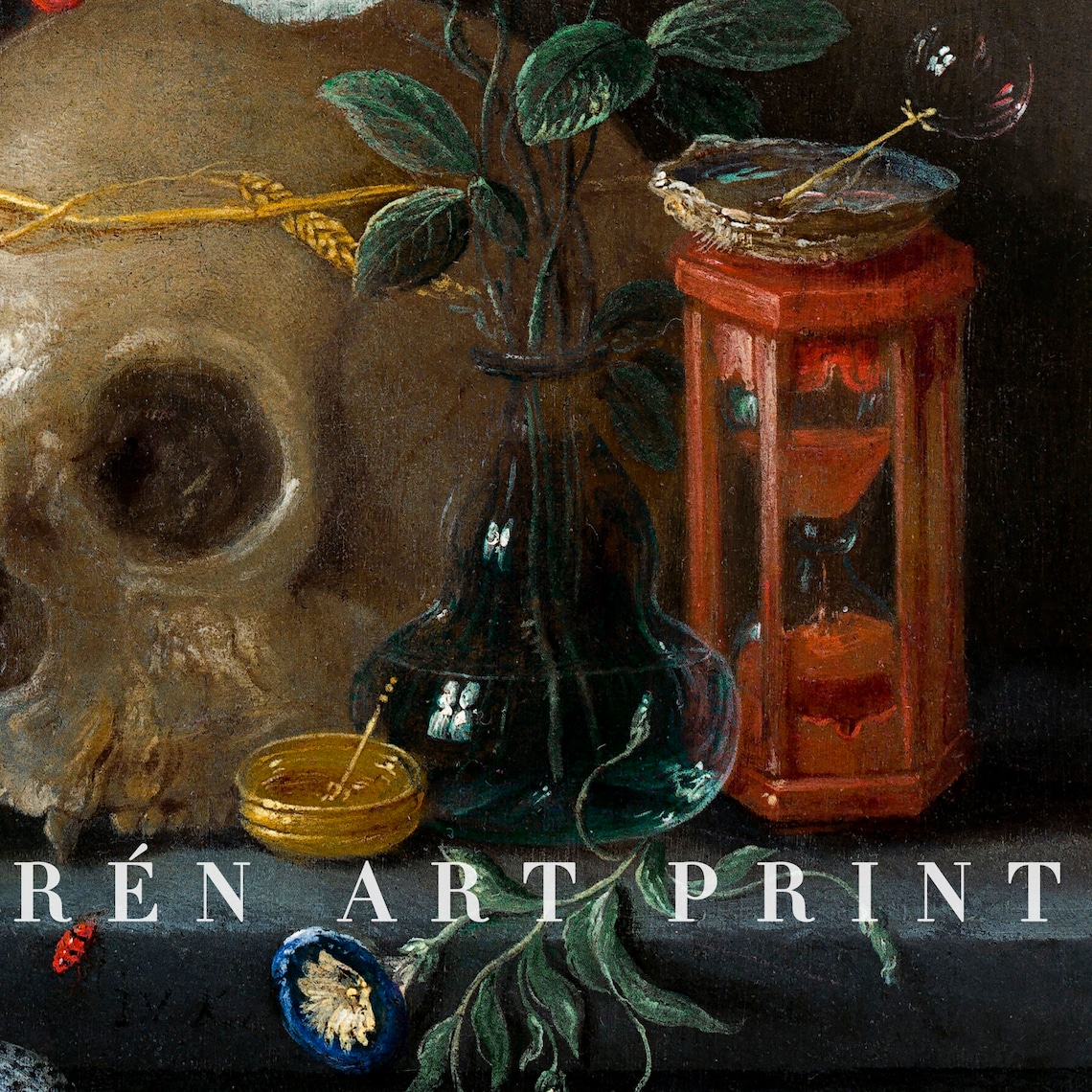 Antique Skull Art Print, Vintage Gothic Still Life - Image 3