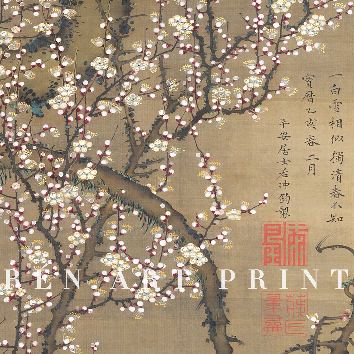 Vintage Japanese White Blossom by Ito Jakuchu - Image 2