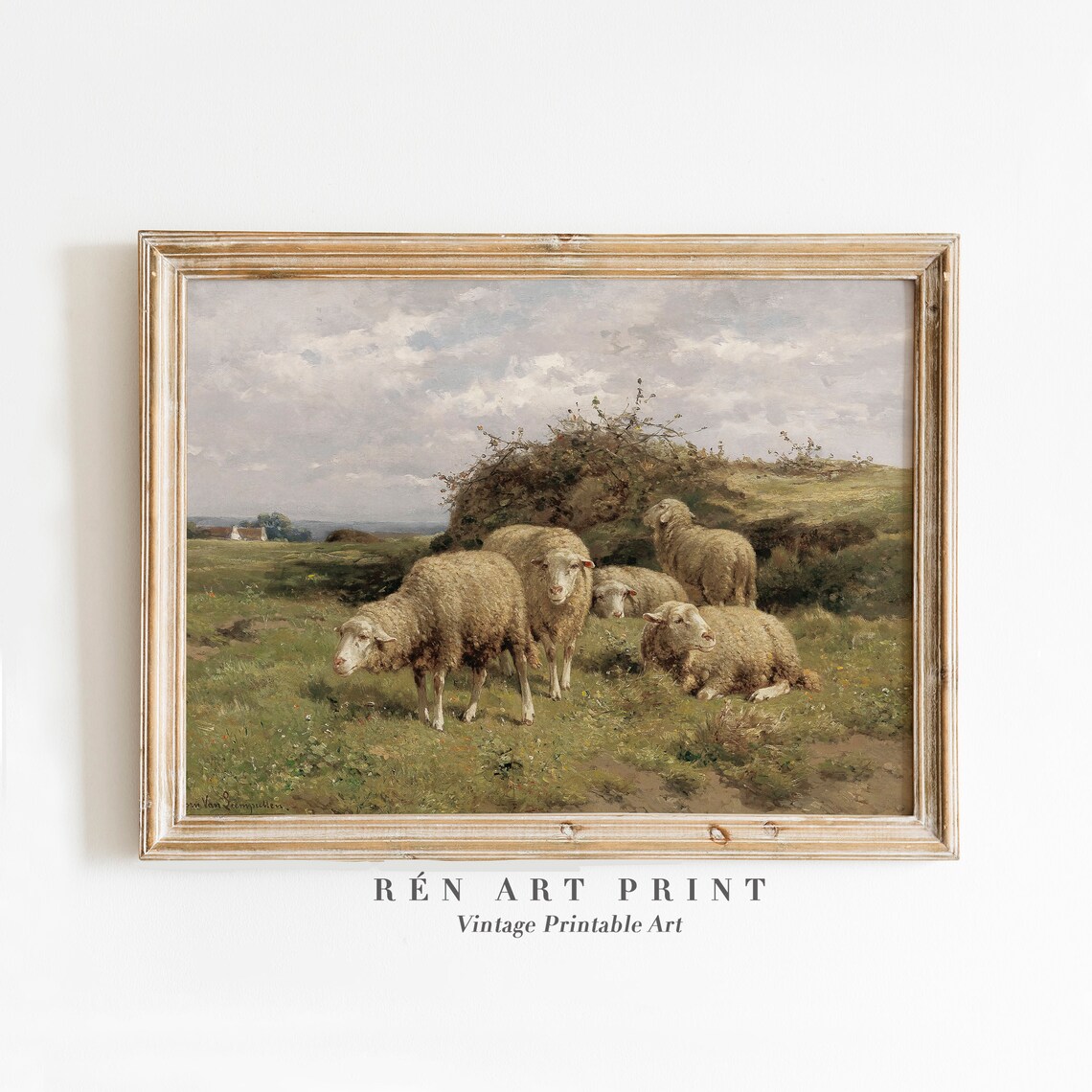 Antique Sheep Painting, Country Farmhouse Art Print