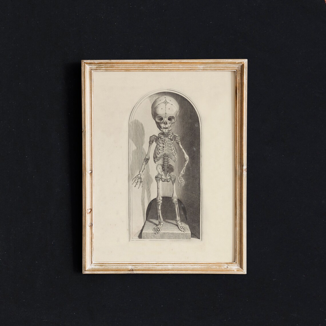 Skeleton Wall Art, Vintage Halloween Decor - Image 2