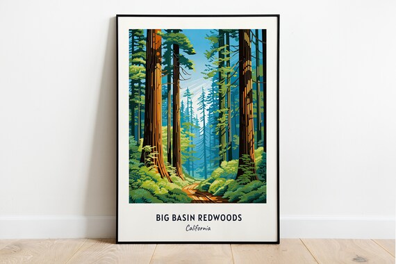 Big Basin Redwoods California Towering Forest Path Giants Travel Poster
