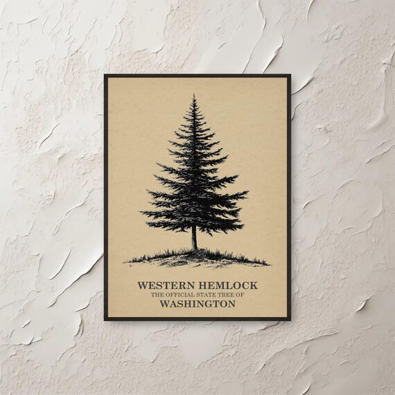 Western Hemlock Tree Wall Art Washington State Print Nature Decor Botanical Pnw Forest