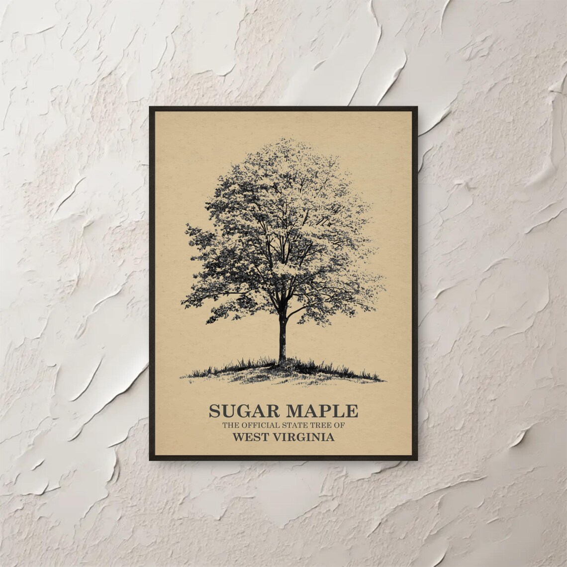 Sugar Maple Print West Virginia Wall Art State Tree Botanical Nature Home Decor Sketch Drawing