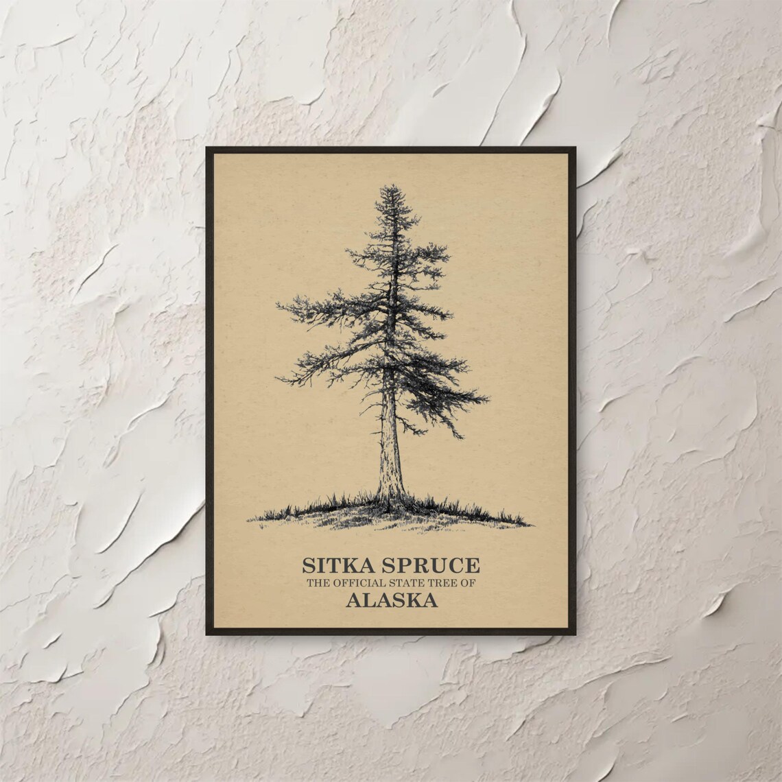 Sitka Spruce Wall Art Alaska State Tree Botanical Print Minimalist Nature Decor Forest Home