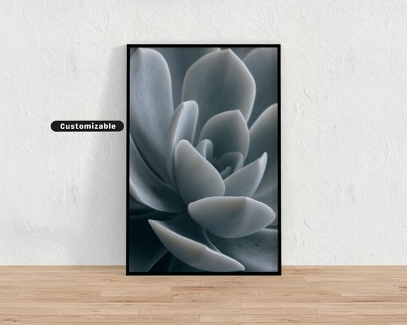 Closeup Of Botanical Succulent Leaf In Soft Gray Tones Minimal Wall Art Neutral Nature Print