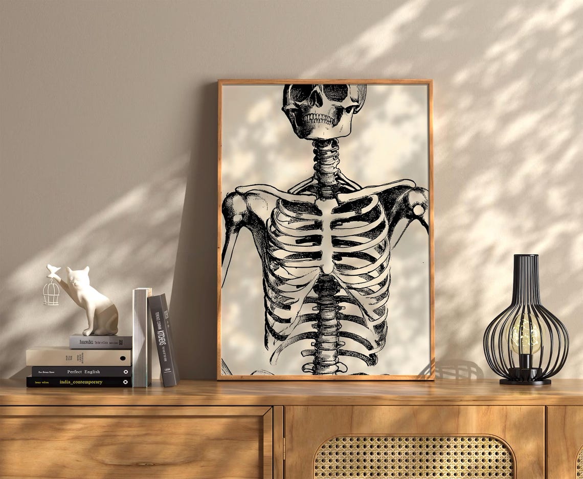 Vintage Anatomical Skeleton Torso Drawing Halloween Art Poster