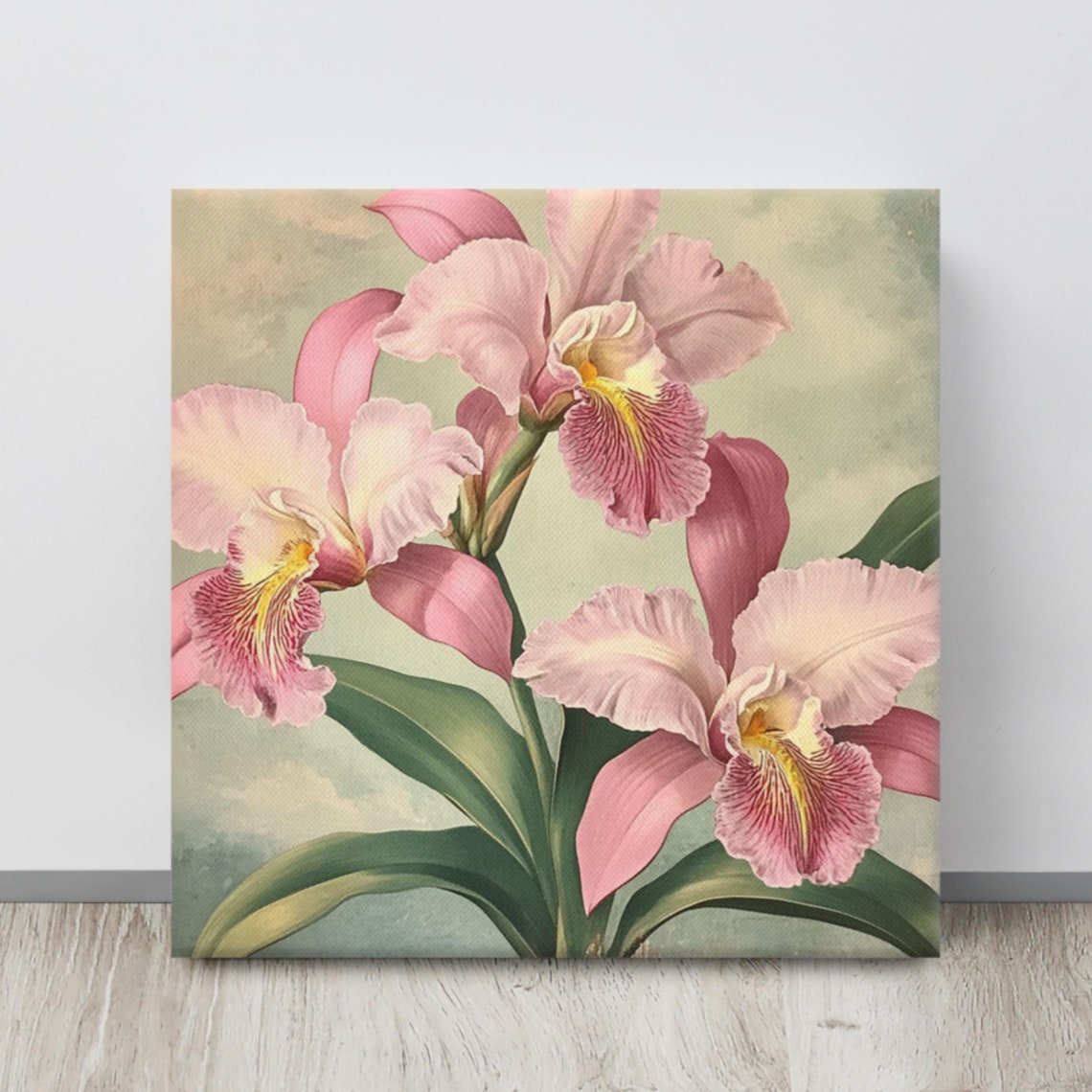 Pink Cattleya Orchid Blooms Vintage Botanical Floral Art Poster