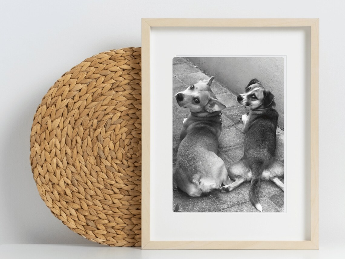 Doggy Duo Cute Dog Photo Wall Sassy Dog Gift Love Cute Dog Photo Gift Dog Mom Gift Dog Dad Art Black And White Dog Photo Sassy Stray - Image 2