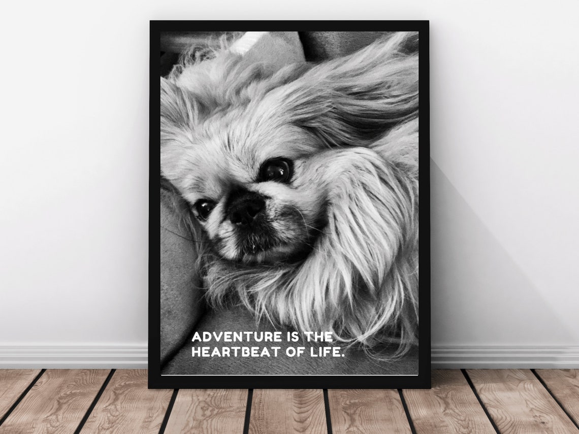 Adventure Is The Heartbeat Of Life Inspired Travel Quote Print Cute Dog Photo Wall Sassy Dog Gift Love Cute Dog Photo Gift Sassy Stray
