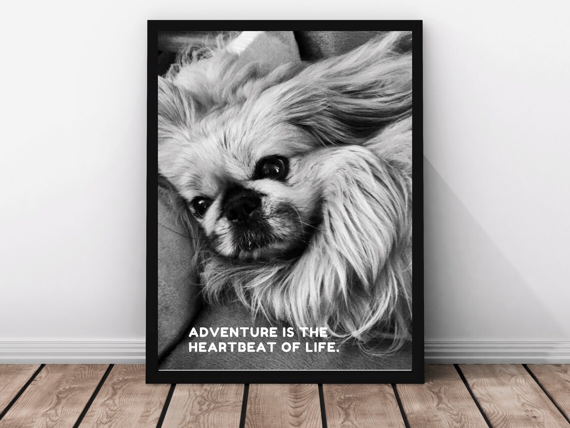Fluffy Dog Photo Adventure Heartbeat Of Life Quote Wall Poster