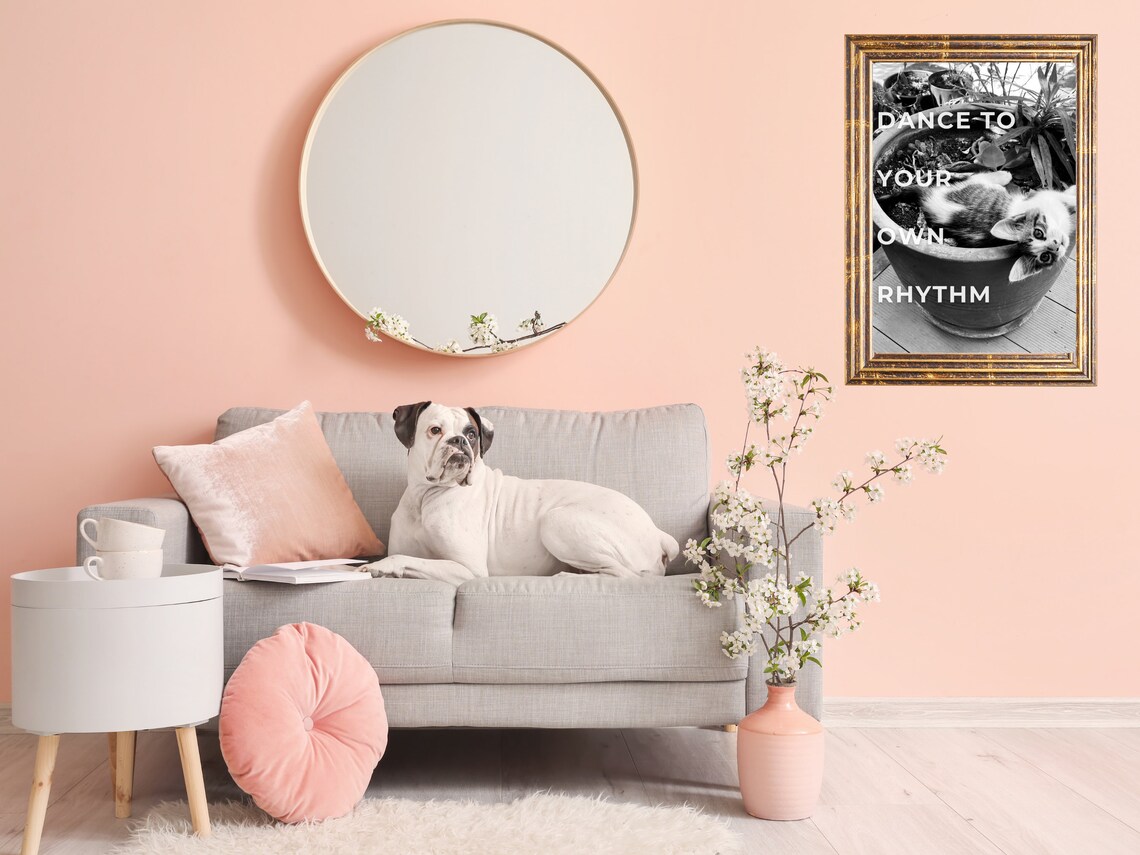 Dance To Your Own Rhythm Kitten In Pot Photo Quote Wall Poster - Image 2