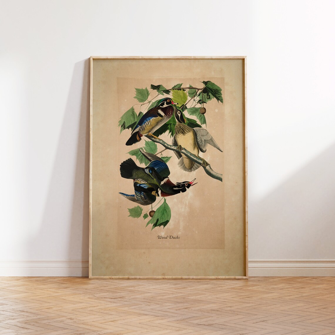 Vintage Wood Ducks Illustration Art Print
