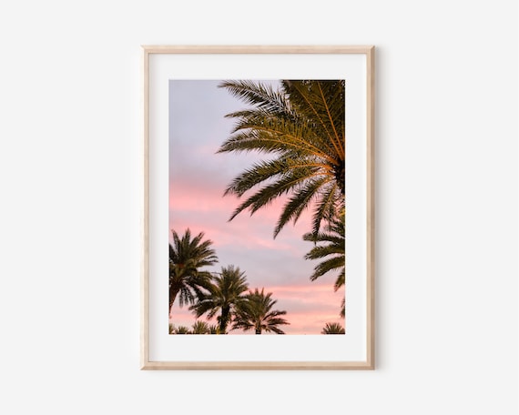 Dreamy Pink Sunset Palm Tree Silhouettes Tropical Photography Print