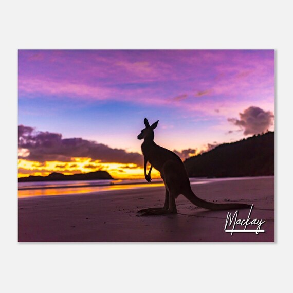Mackay Australia Sunset Print Kangaroo Silhouette Travel Poster