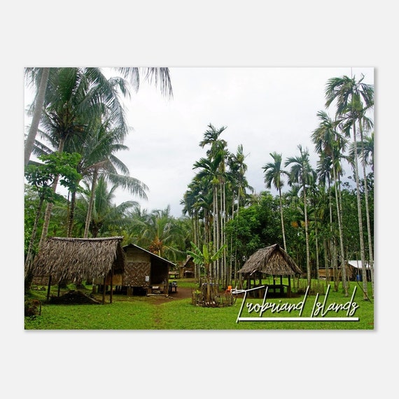 Trobriand Islands Print Papua New Guinea Palm Trees Poster