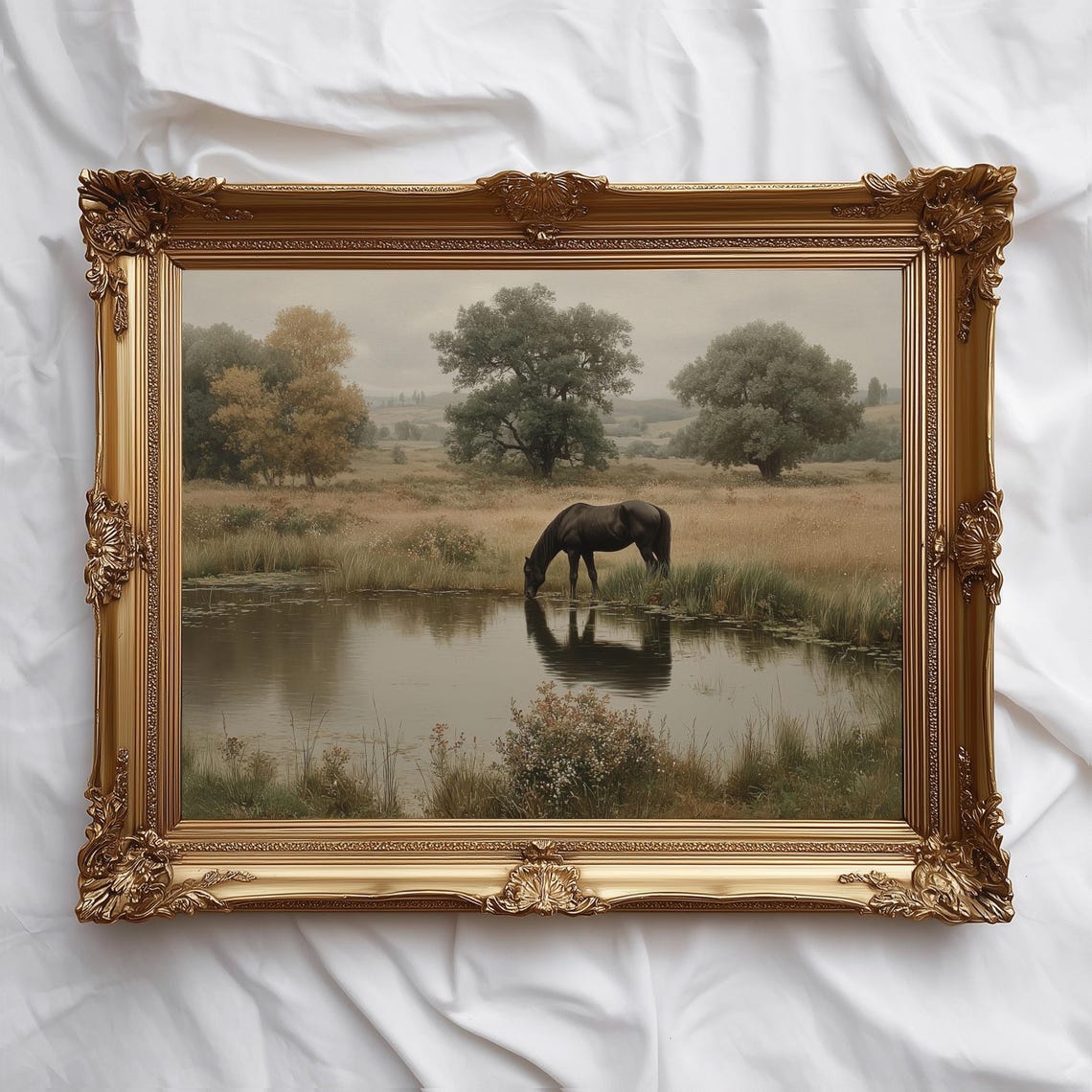 Black Horse Drinking At Pond Rustic Meadow Landscape Art Poster