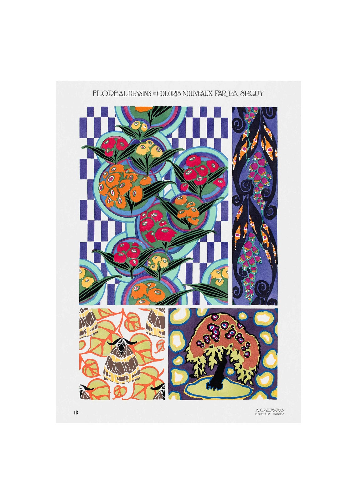 E A Seguy Floreal Plate 13 Berry Moth Tree Checkered Pattern Poster