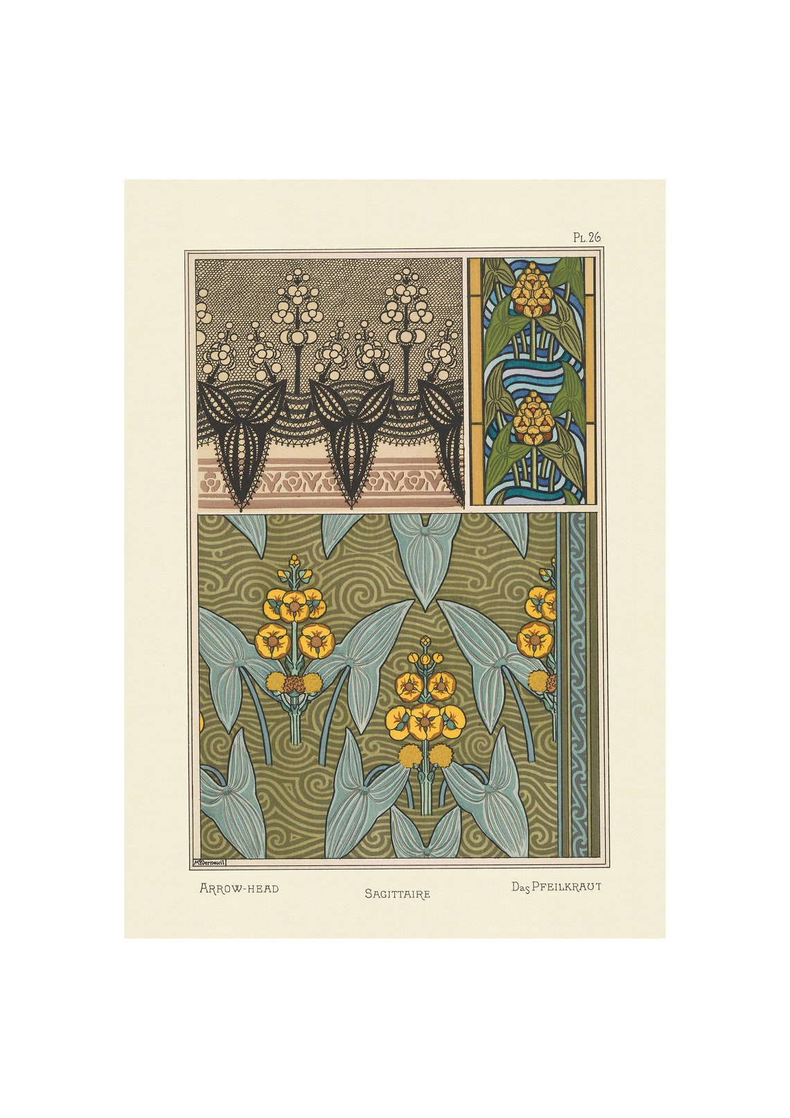 1896 Art Nouveau Arrowhead Water Plant Pattern Ornament Poster