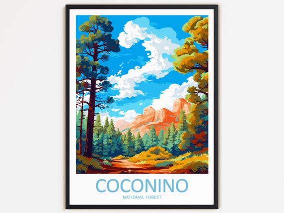 Coconino Travel Print Wall Decor Wall Art Coconino Wall Hanging Home Dcor Coconino Gift Art Lovers National Forest Art Home Decoration