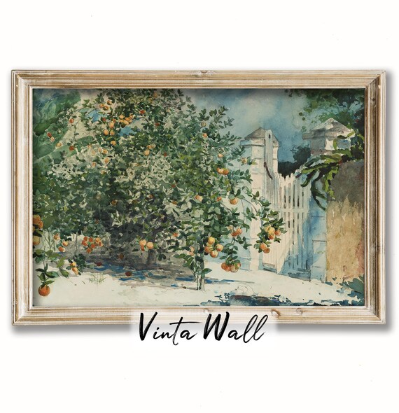Orange Tree Heavy with Fruit by White Garden Gate Watercolor Poster