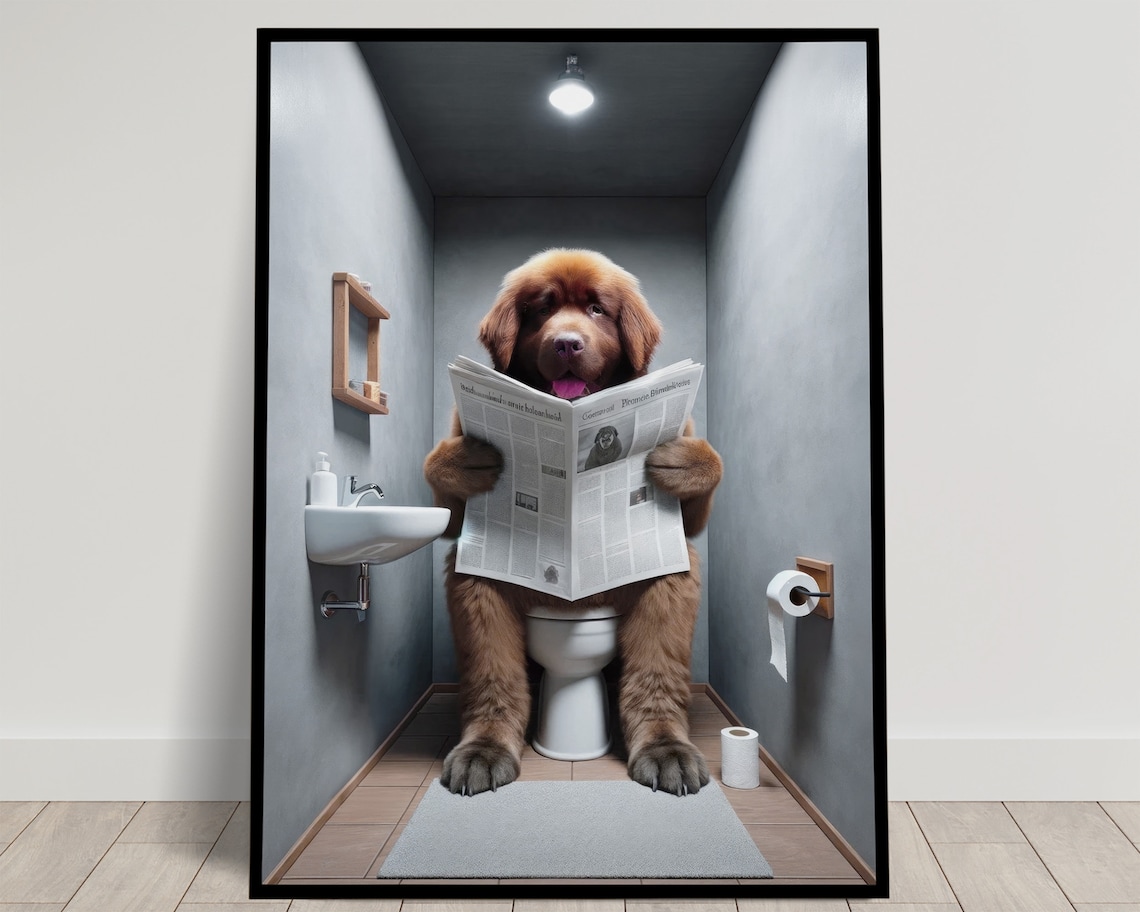 Brown Newfoundland Reading Newspaper Bathroom Poster