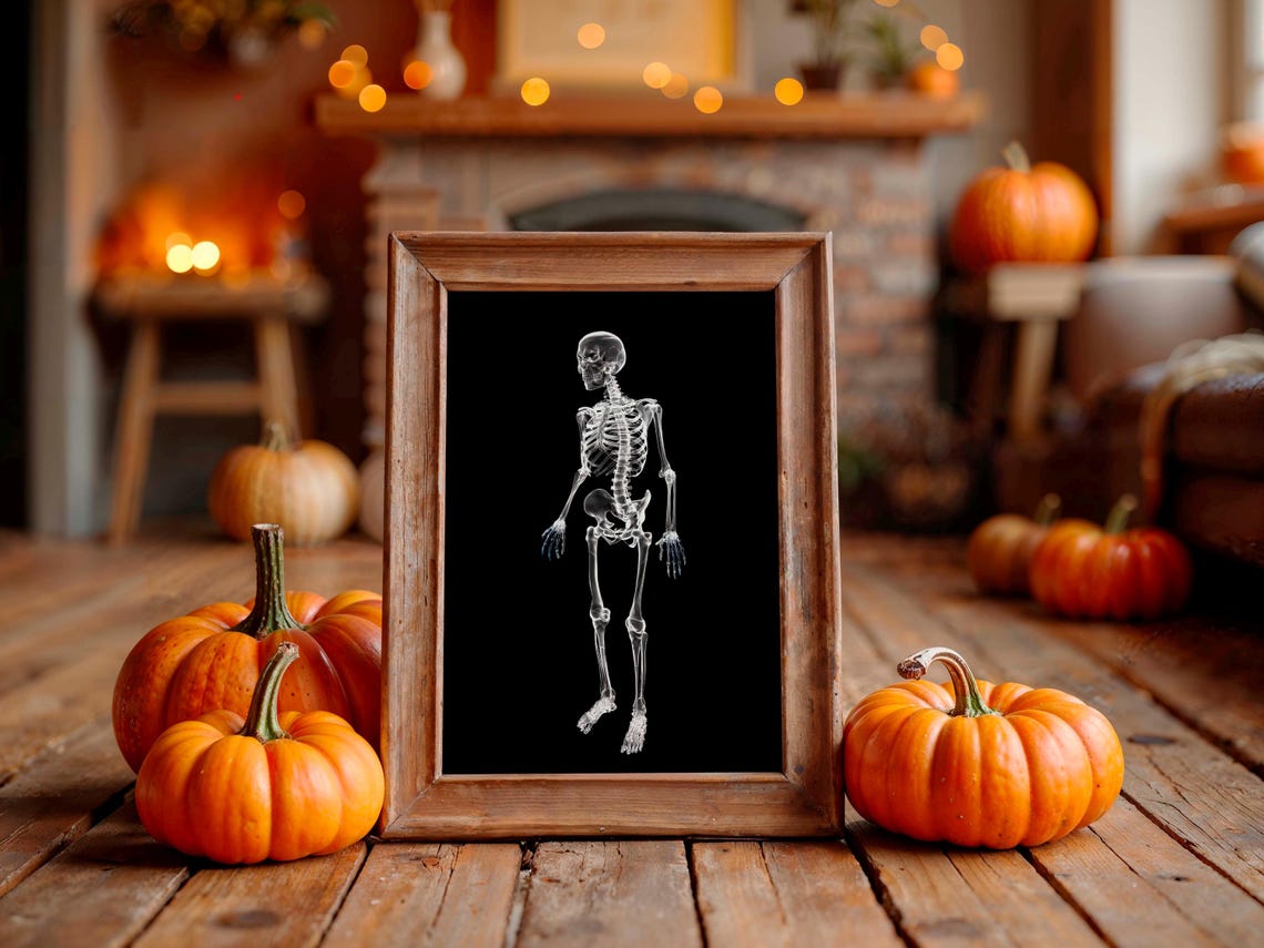 X-Ray Skeleton Halloween Poster Transparent White On Black Background