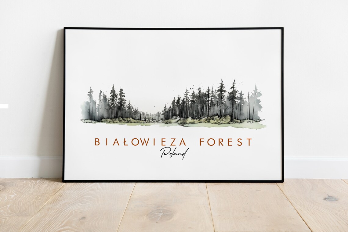 Bialowieza Forest Poland Pine Treeline Ink Watercolor Poster