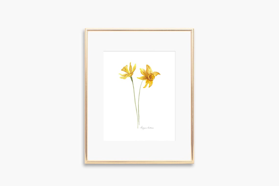 Yellow Daffodil Watercolor Twin Blooms Spring Botanical Art Poster
