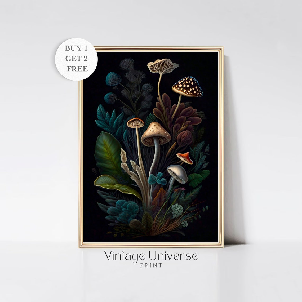 Woodland Mushroom Collection Moody Dark Botanical Art Poster