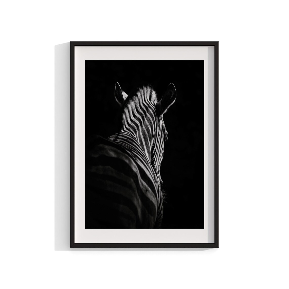 Zebra Art Print, Black and White Safari Animal
