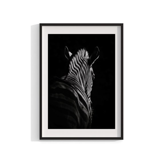 Zebra Art Print, Black and White Safari Animal