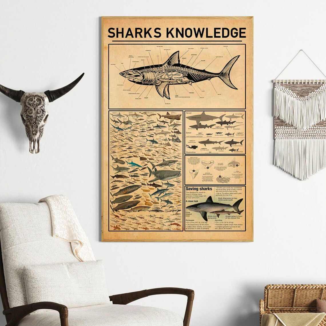 Sharks Knowledge Vintage Shark Anatomy Illustrated Species Poster - Image 2