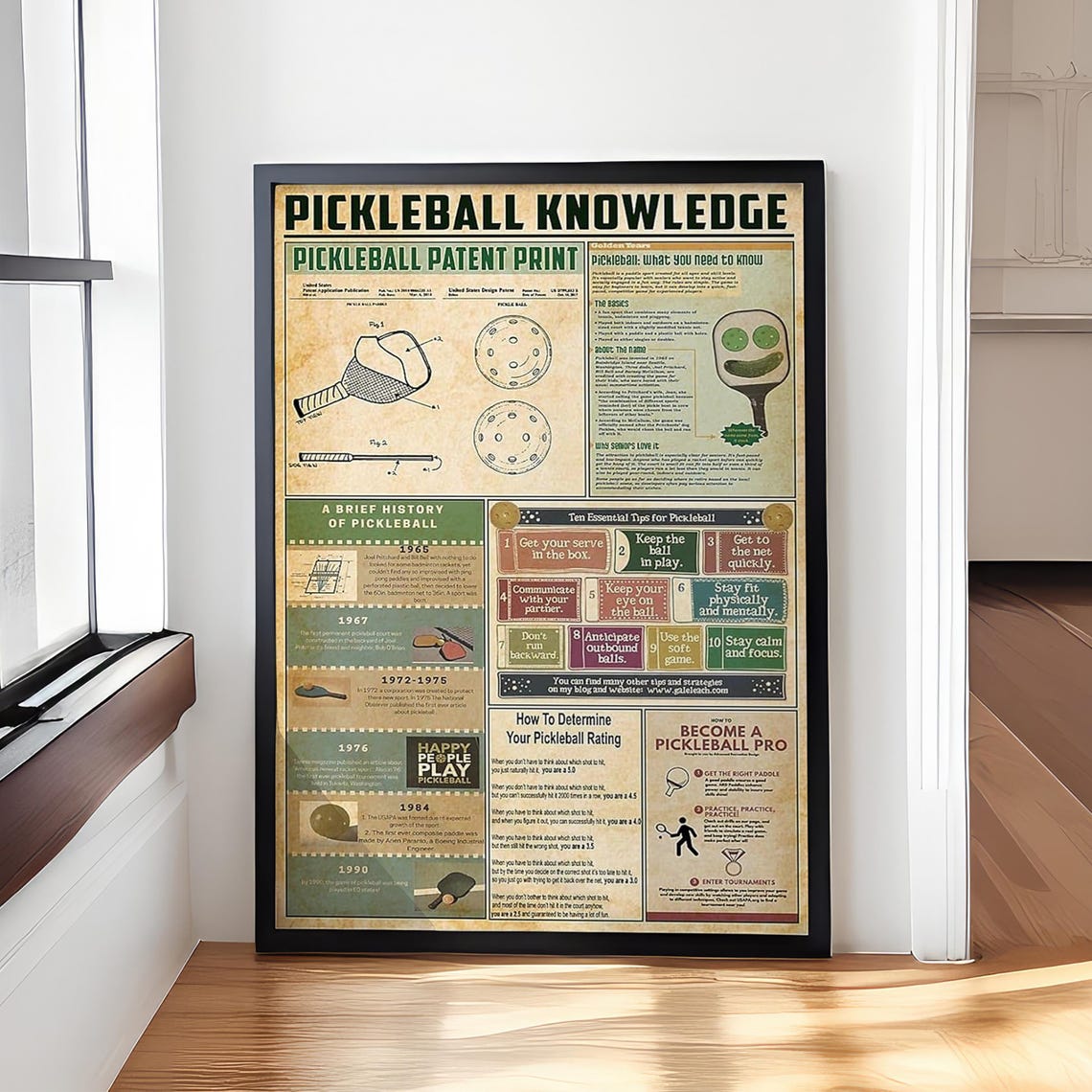 Pickleball Knowledge Patent History and Training Tips Poster