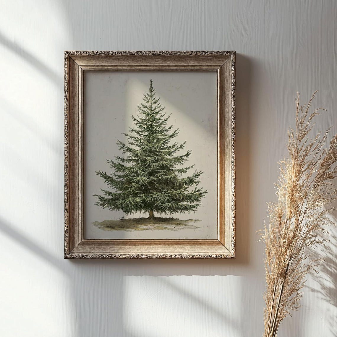 Vintage Evergreen Pine Tree Botanical Study Farmhouse Wall Poster - Image 3