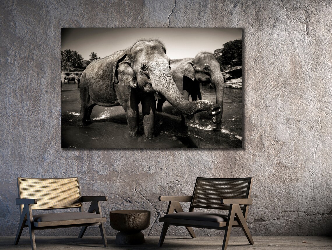 Elephants In Water Black White Wildlife Photography Art Wall Poster - Image 2