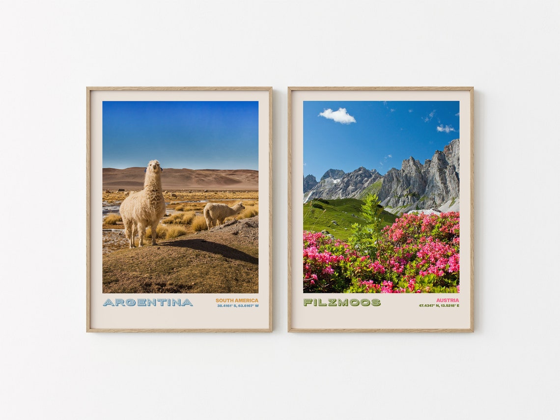 Argentina South America Two Llamas in Desert Highlands Poster - Image 2