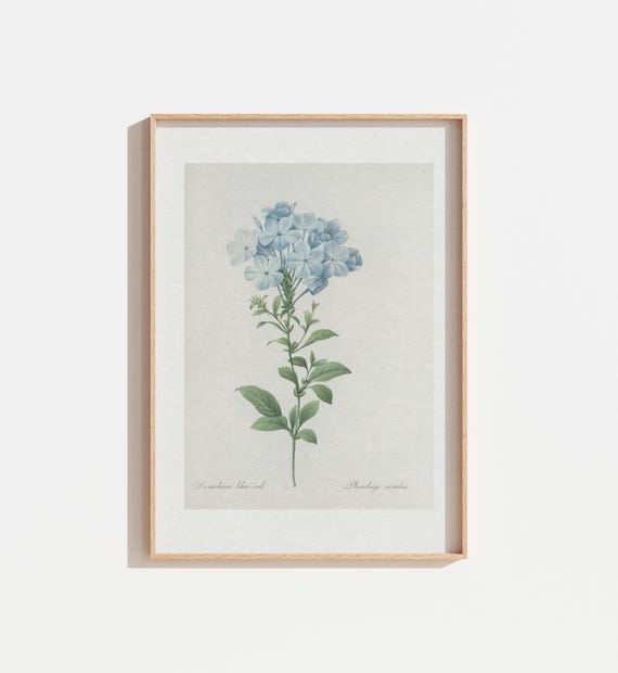Vintage Blue Floral Botanical Art Print, Neutral Cream