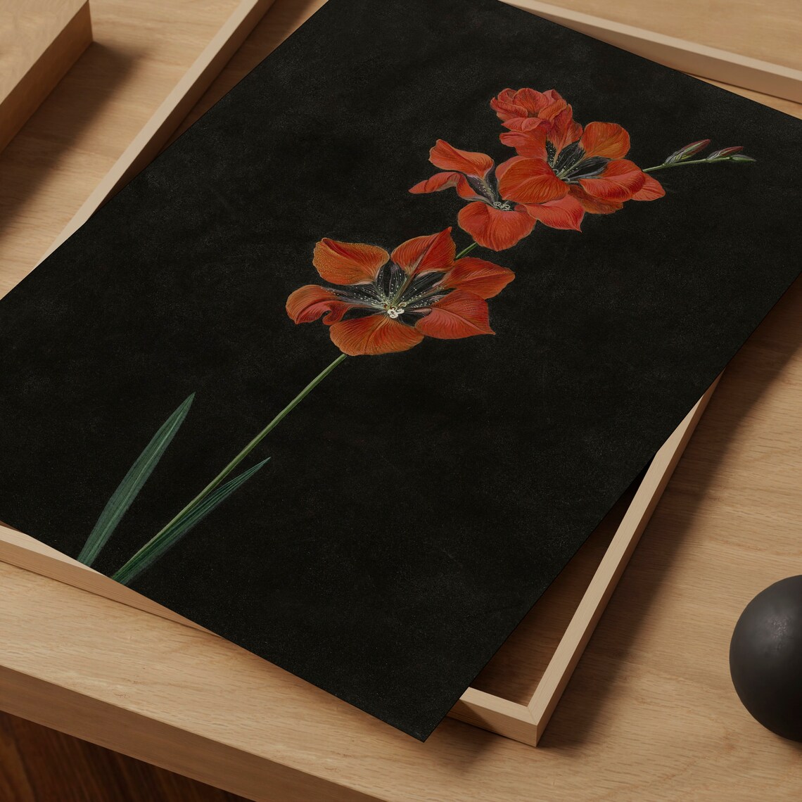 Vintage Moody Black Floral Still Life Art Print - Image 4