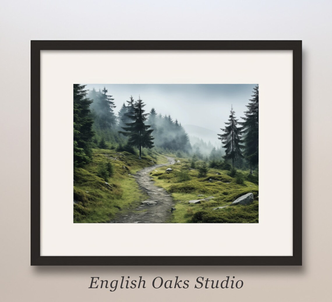 Mountain Evergreen Trees And A Path Art Print