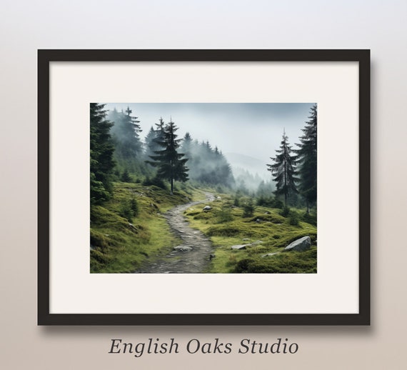 Mountain Evergreen Trees And A Path Art Print