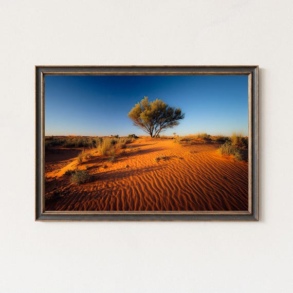 Australian Desert Sunrise Red Dunes Lone Tree Landscape Wall Art Print