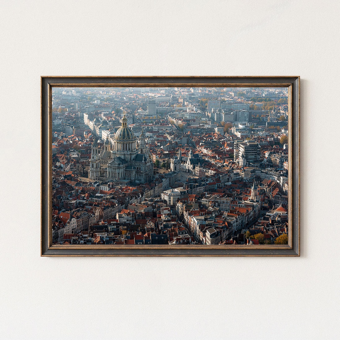 Aerial European Old Town Red Rooftops Domed Church Cityscape Poster
