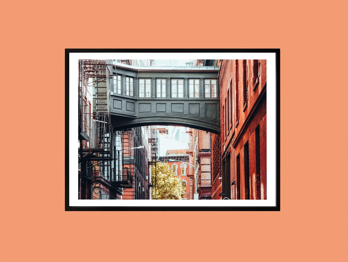 Staple Street Skybridge New York City Red Brick Alley Photography Poster