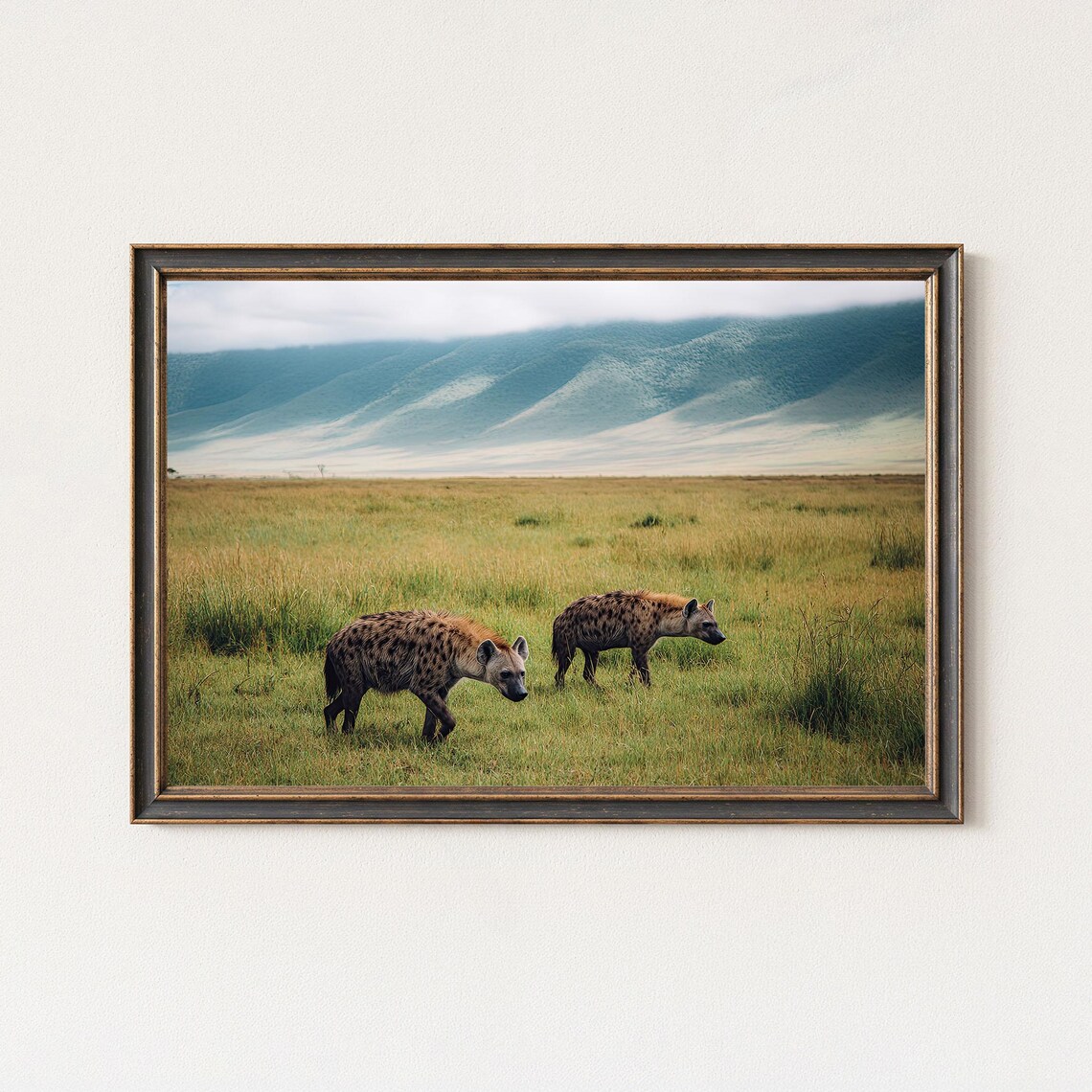 Spotted Hyenas Savanna Grassland African Wildlife Photo Poster