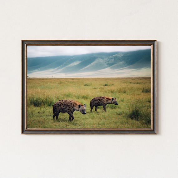 Hyena Safari Photography Print Ngorongoro Wildlife Wall Art