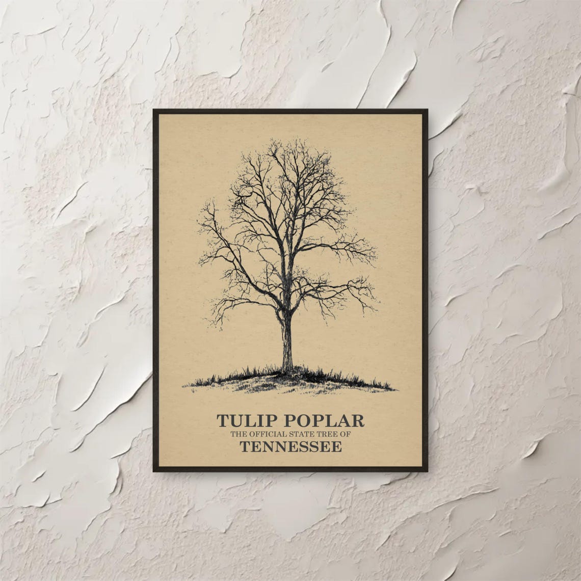 Tulip Poplar Tennessee State Tree Vintage Botanical Ink Sketch Poster