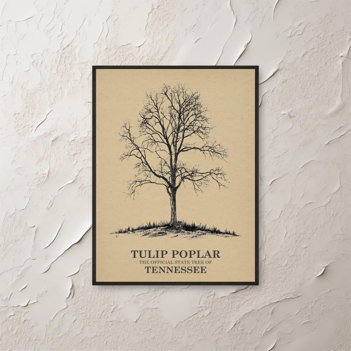 Tulip Poplar Tree Art Tennessee State Wall Print Botanical Illustration Nature Home Decor Minimalist