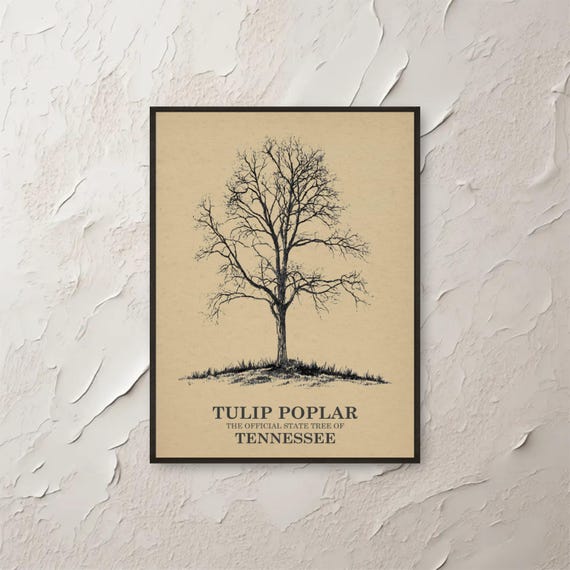 Tulip Poplar Tree Art Tennessee State Wall Print Botanical Illustration Nature Home Decor Minimalist