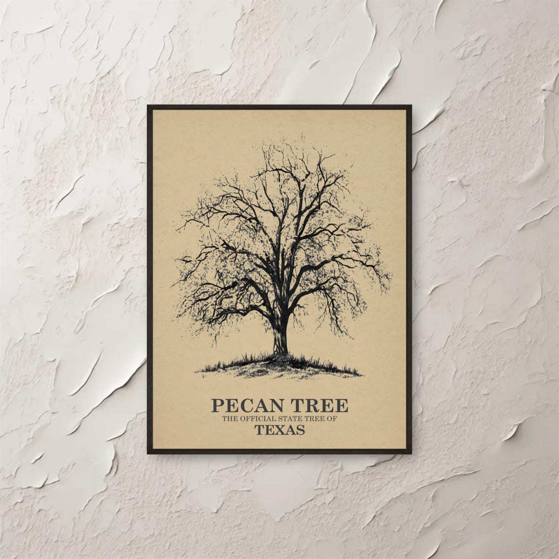 Texas Pecan Tree State Tree Botanical Ink Line Drawing Wall Print