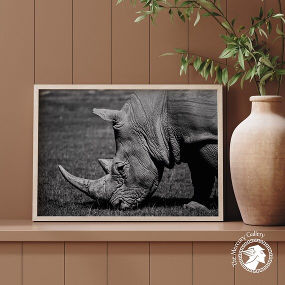Rhinoceros Close Up Black And White Dramatic Wildlife Art Print
